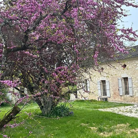 La Maison D'art Διαμέρισμα