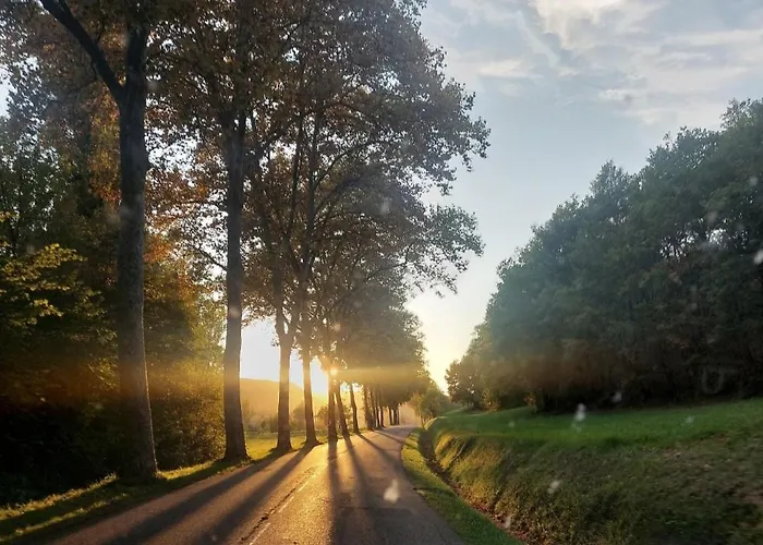 La Maison D'art Daire *